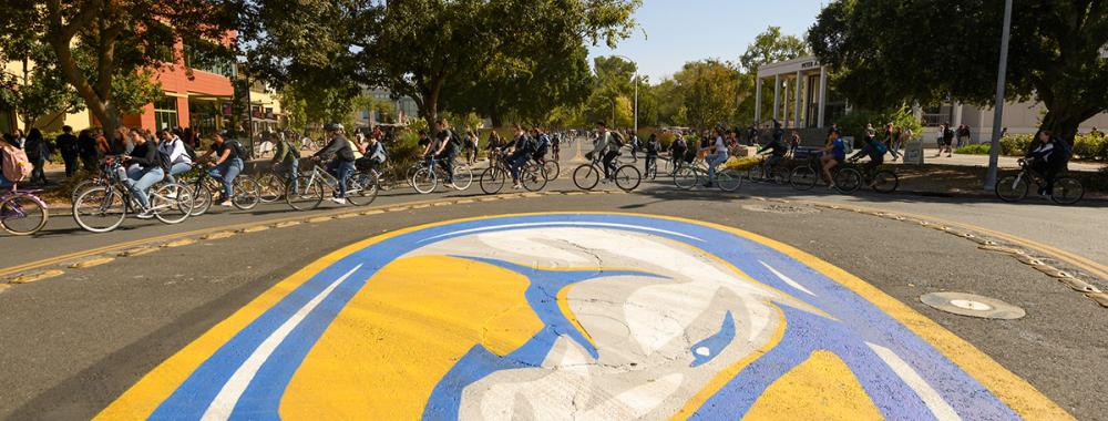 Campus bike circle with several students riding on bikes