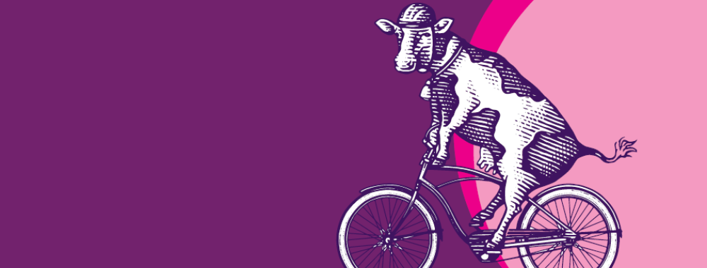 Illustration of a cow riding a bicycle against a purple and pink background.