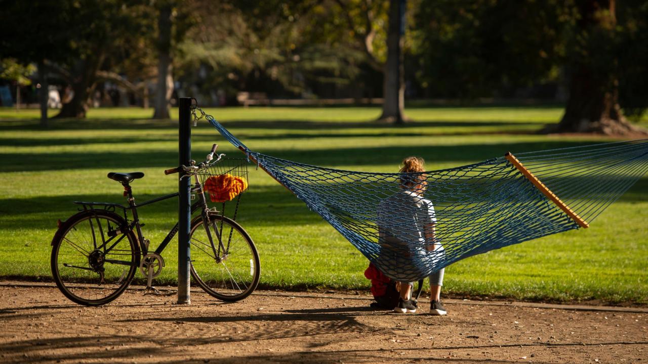 Person sitting in a blue-orange hammock tied to a bicycle on a sunlit park lawn