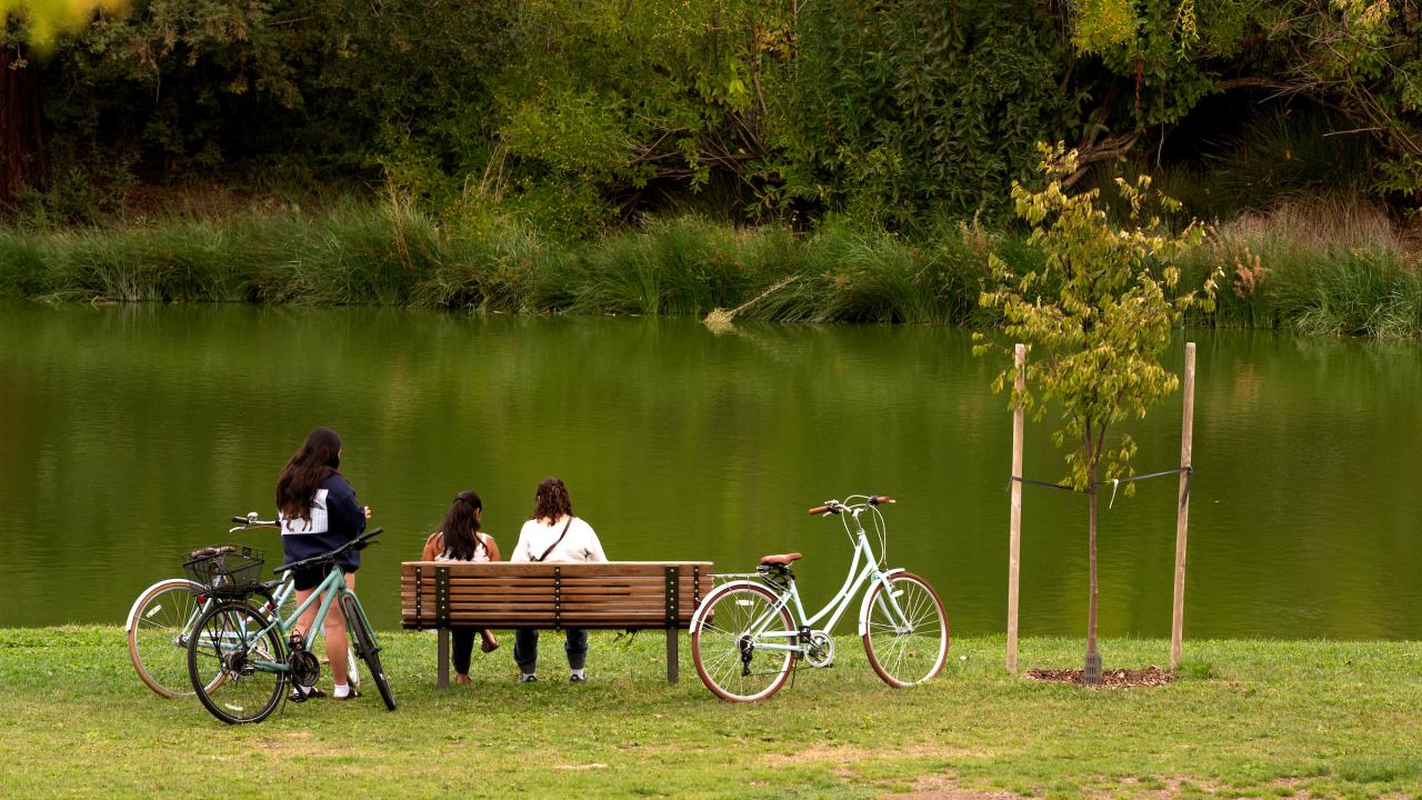 Two people sit on a bench by a calm lake, with bicycles nearby and greenery all around.