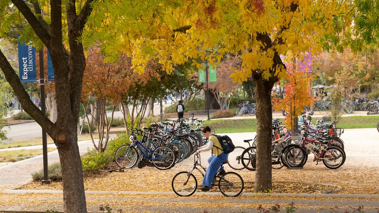 Person cycling past parked bicycles under golden autumn trees