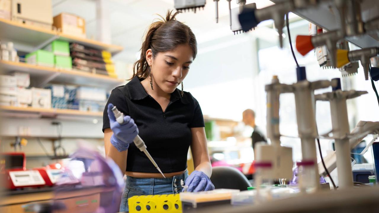 UCLA student at work in the Barber Lab.