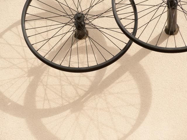 Bicycle wheels, art display in Tercero Hall