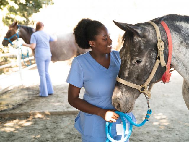Vet students with horses