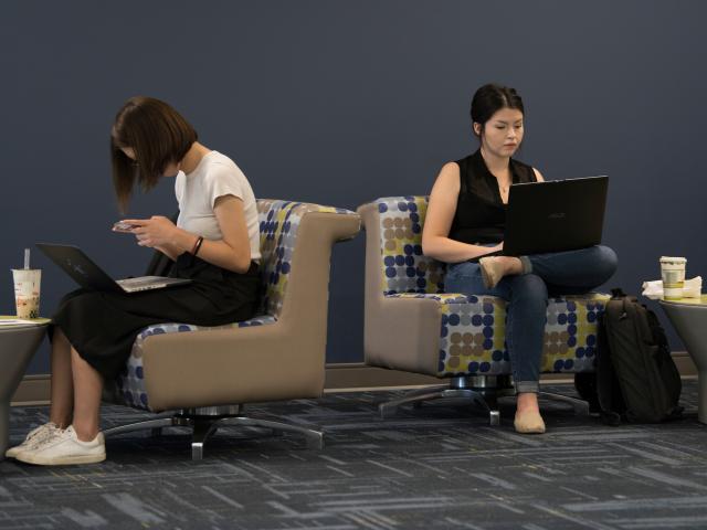 Students studying at the MU - gray