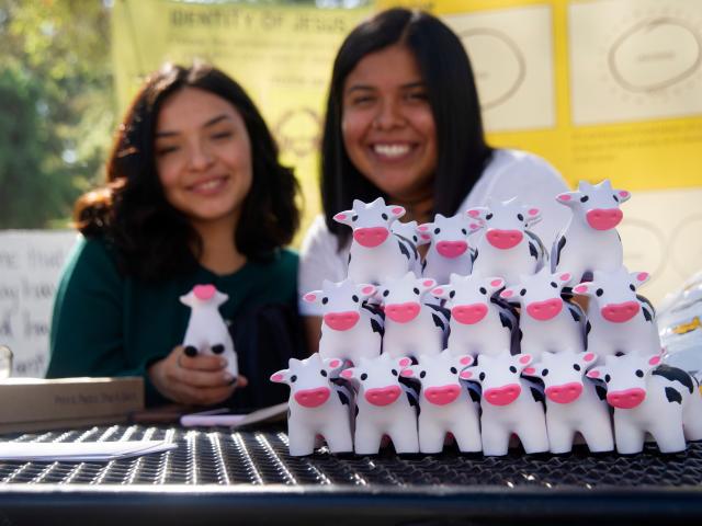 Two students at a table with mini cow giveaways