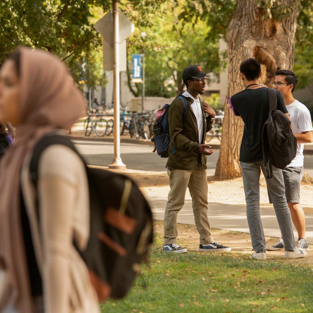 Students socializing on the quad
