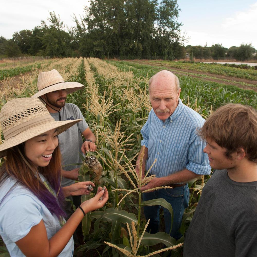 Students working in an agricultural field