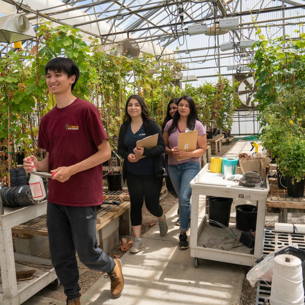 Students walk though greenhouse