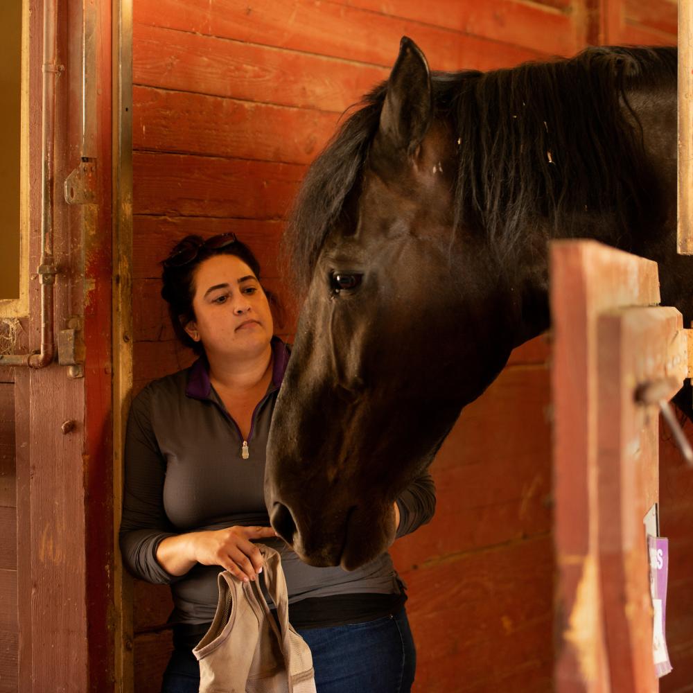 Vet med professor with horse in stable