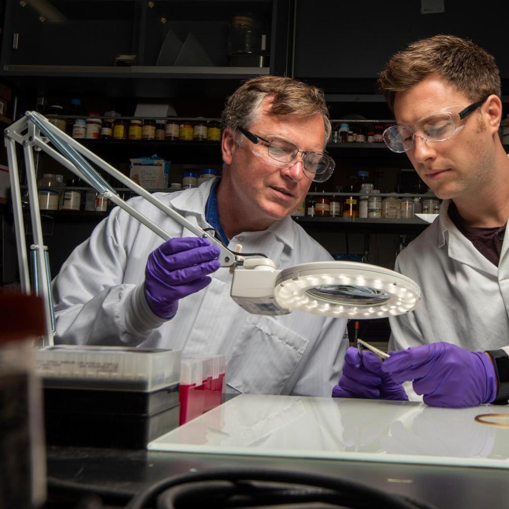Two scientists in lab coats and purple gloves examining a circular artifact under a ring light