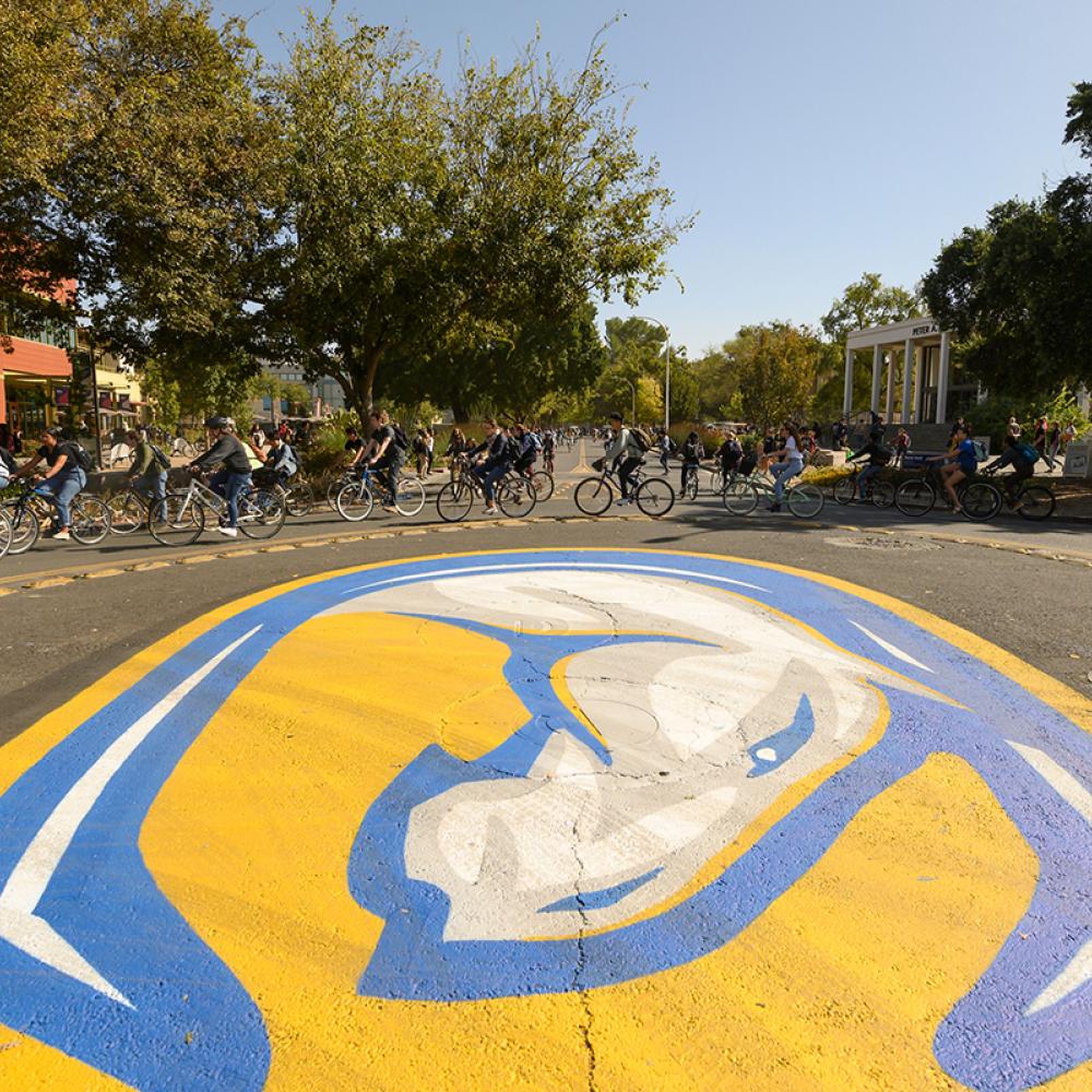 Campus bike circle with several students riding on bikes