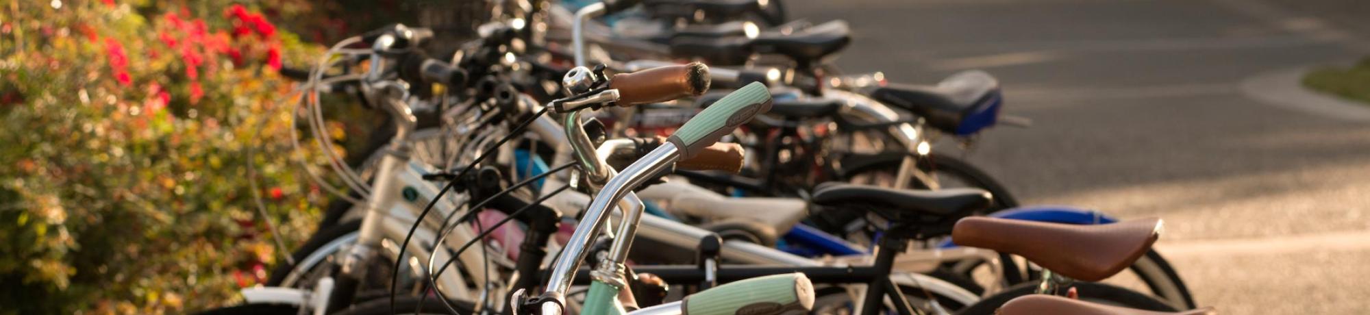 Sunlit row of colorful parked bicycles lined up along a sidewalk