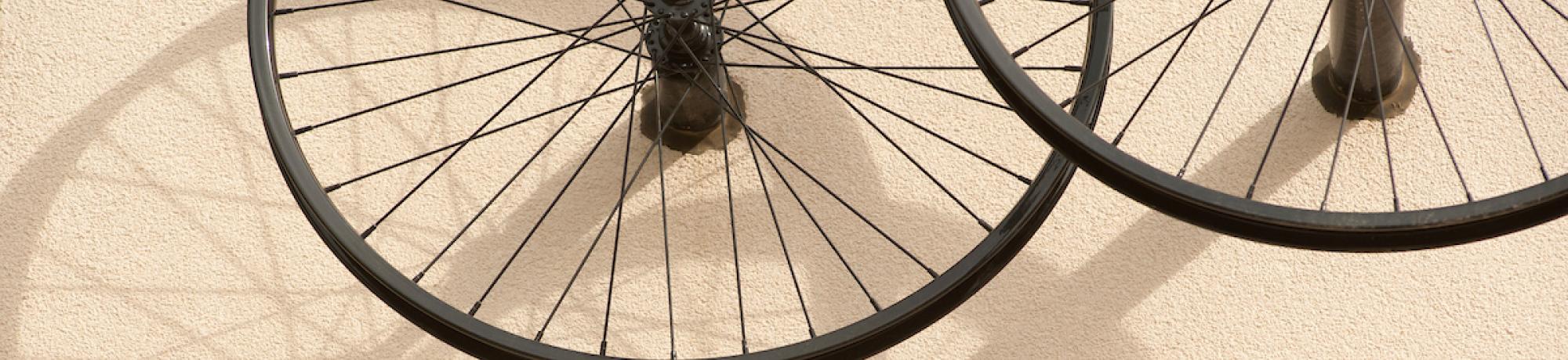 Bicycle wheels, art display in Tercero Hall