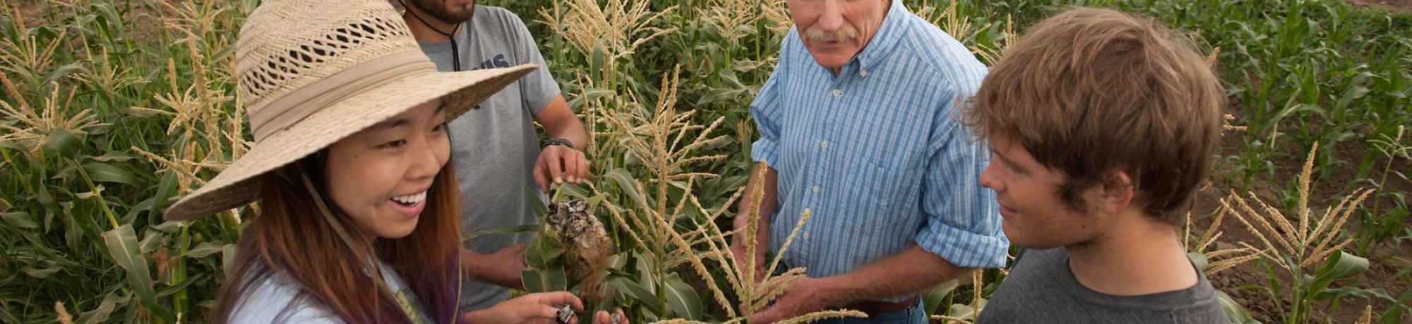 Students working in agriculture