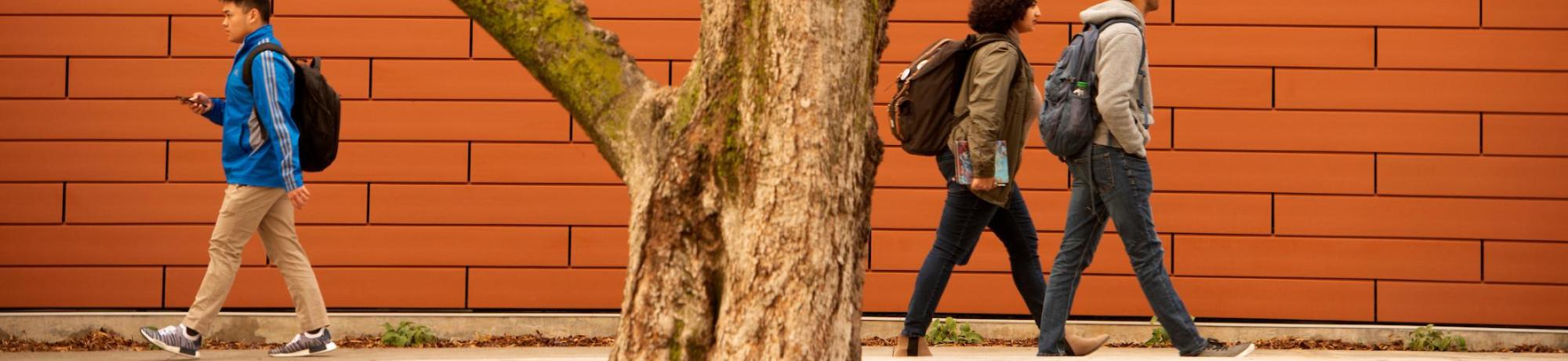 Students walking near tree and building