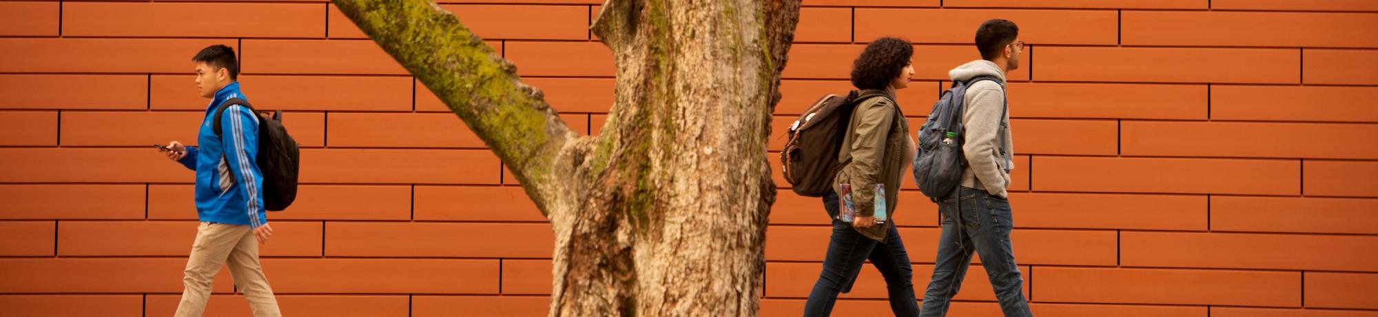 Students walking near tree and building