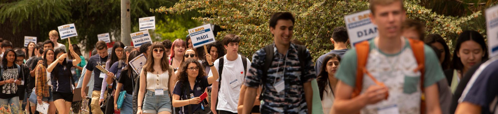 Orientation groups walking on campus