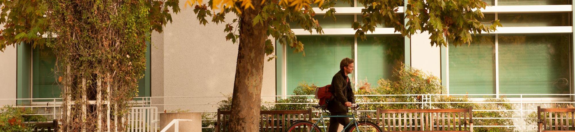 Student walking near building with fall foliage - green
