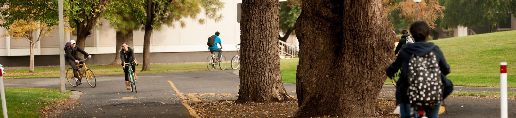 Student biking on campus