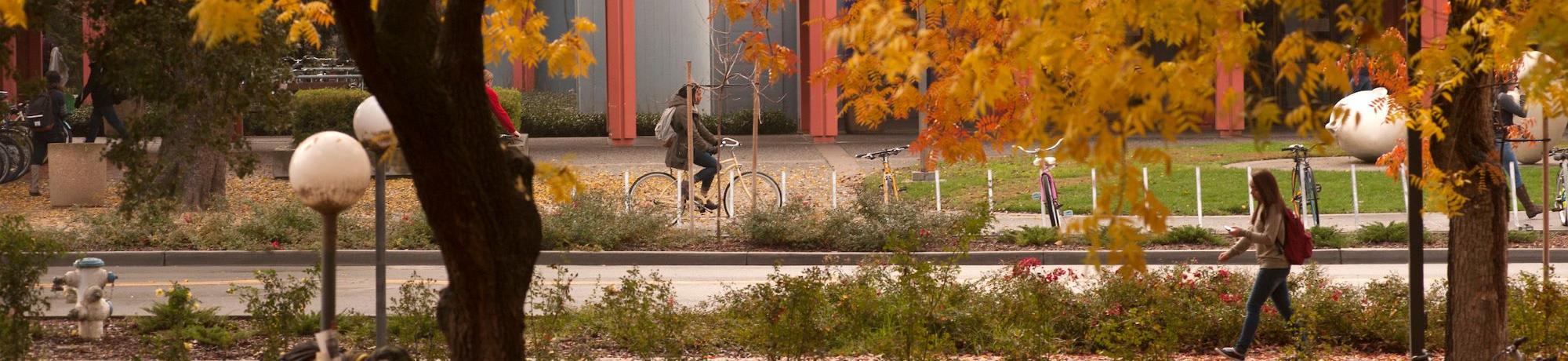 Student at bike rack in fall