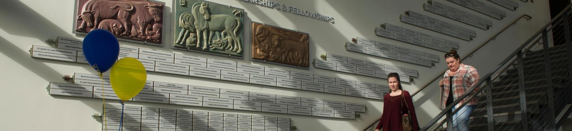Interior of the vet med building with a person descending the stairs