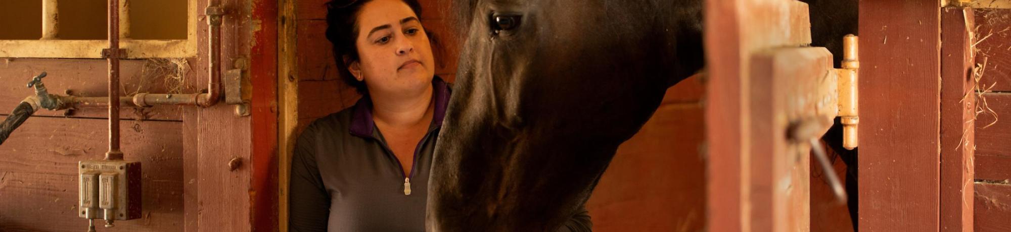 Vet med professor with horse in stable