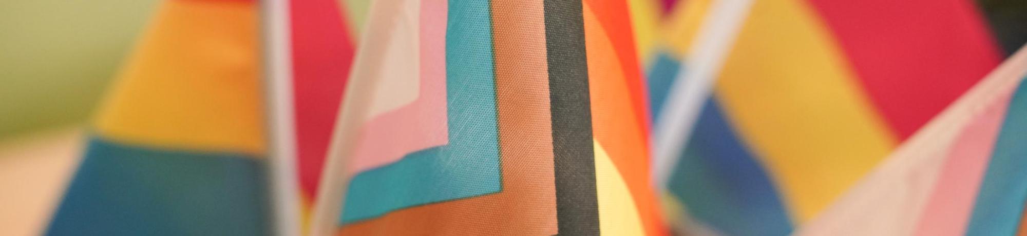 Collection of pride flags