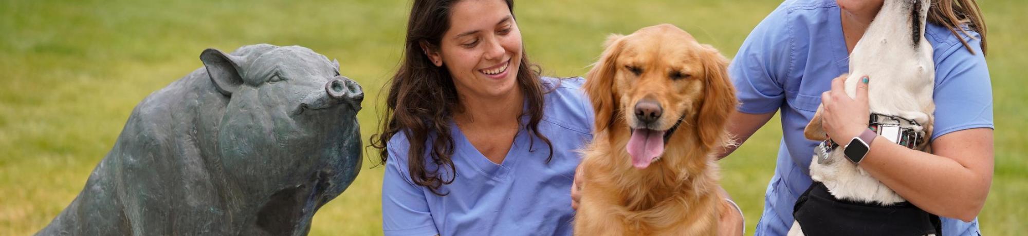Two vet med students with two dogs sitting next to a sculpture of a pig