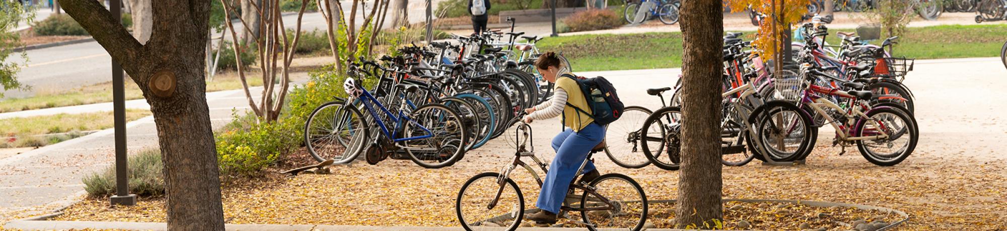 Person cycling past parked bicycles under golden autumn trees