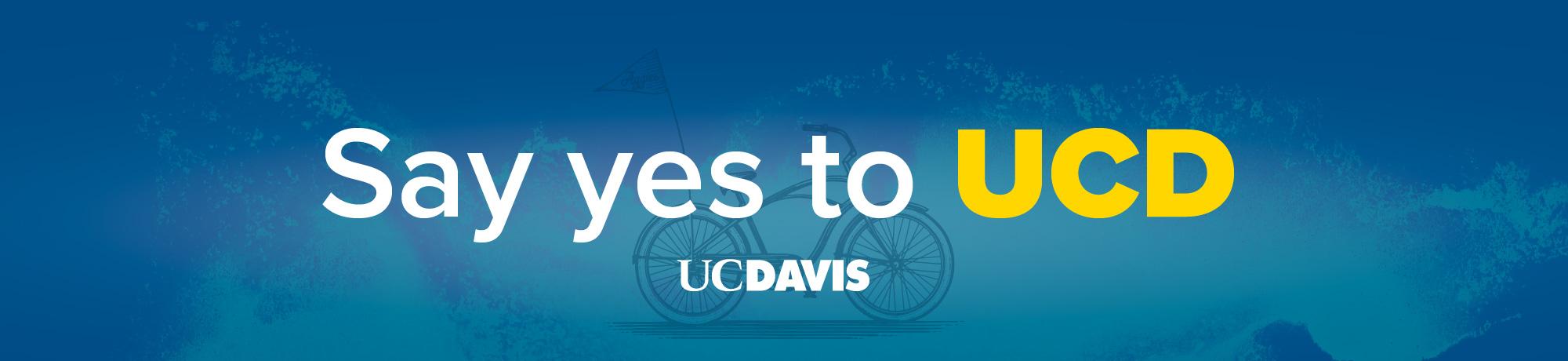 Blue banner with "say yes to uc davis" in white and gold type